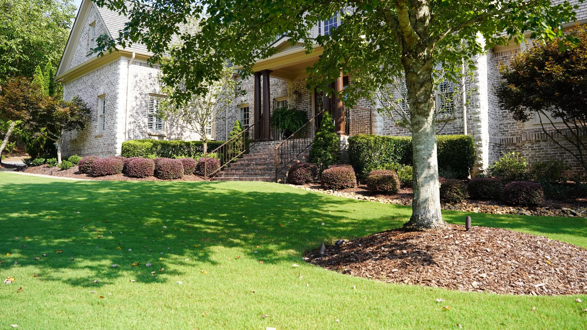 Preventative Lawn Insect Control Treatments Are Worth the Investment!