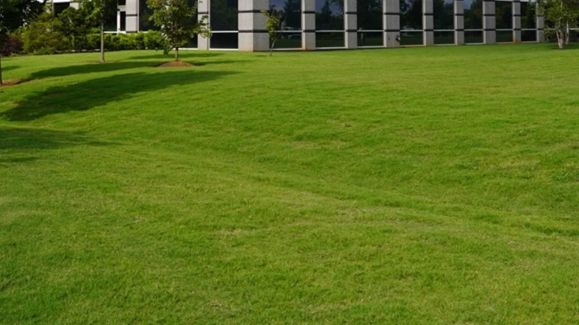 Granular vs Liquid Fertilizer - Which Type Should You Use?