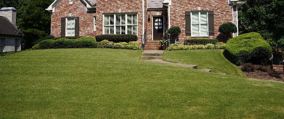 Green, weed-free front lawn in Mountain Brook, AL, and a brick house.