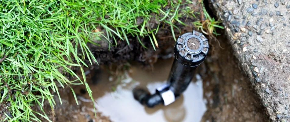 A broken sprinkler head and puddle near grass in Mountain Brook, AL.