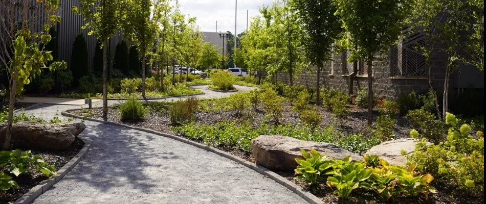 A commercial walkway in Mountain Brook, AL, surrounded by plants in landscapes.