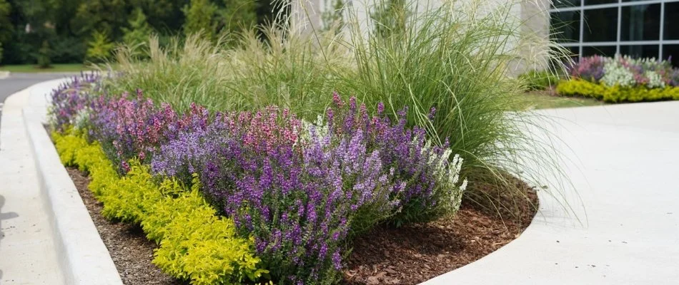 Corner landscape bed in Madison, AL, with colorful flowers.