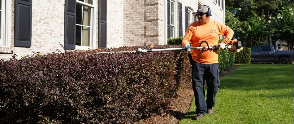 Crew trimming shrubs beside a building in Liberty Park, AL.