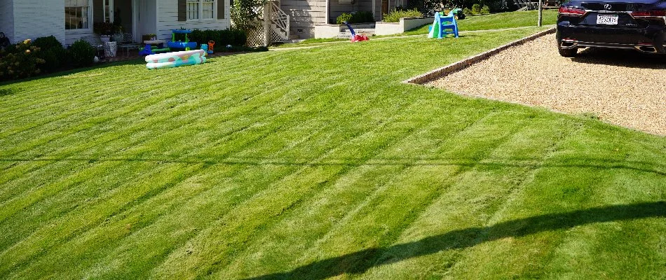 Green front lawn in Madison, AL, with mowing stripes.