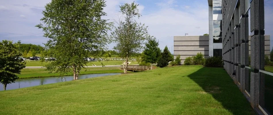 Green lawn in Brownsboro, AL, with trees beside a small pond.