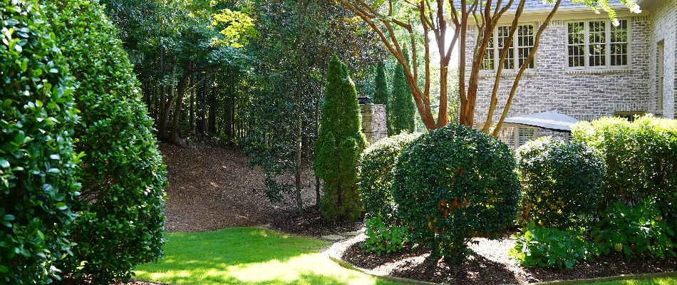 Green shrubbery and trees in landscaping in Mountain Brook, AL.