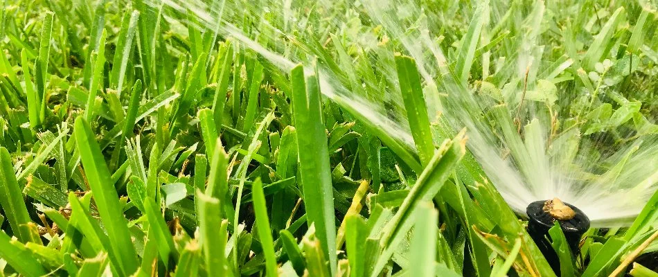 Irrigation system in tall grass on a property in Mountain Brook, AL.