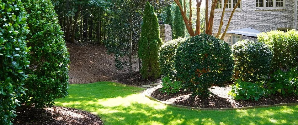 Healthy and trimmed shrubs on a landscape in Greystone, AL.