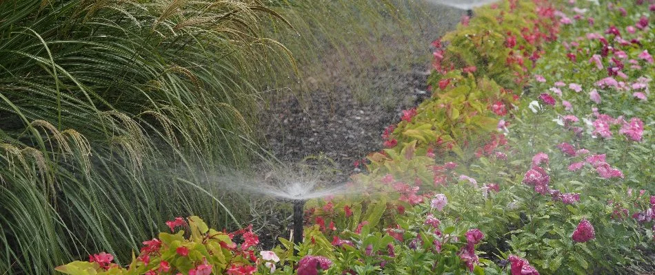 Landscape bed in New Market, AL, with a sprinkler head watering the flowers.