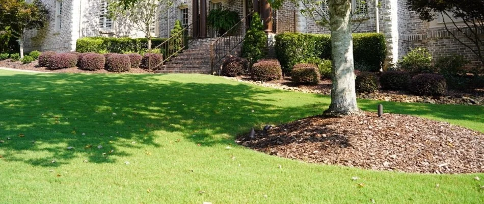 Mulch installed around a tree in Mountain Brook, AL.