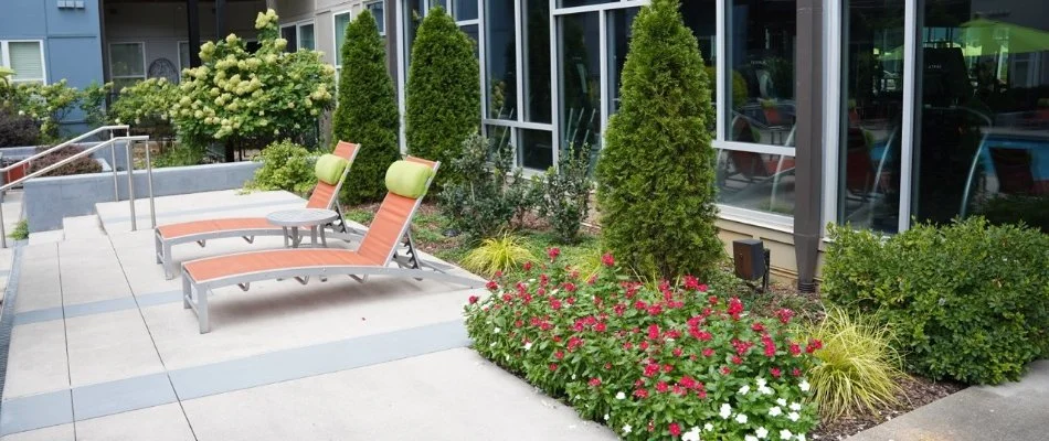 Plants and shrubs along a commercial building in Mountain Brook, AL.