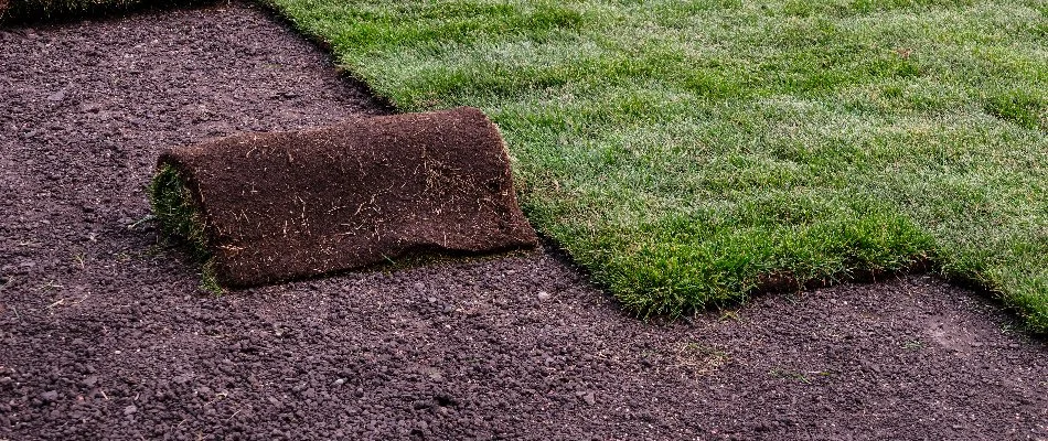 Roll of sod being installed for a property in Mountain Brook, AL.