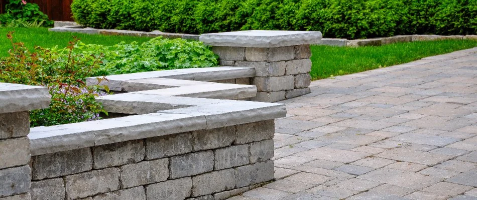 Seating wall along a lawn and some landscape plants in Mountain Brook, AL.