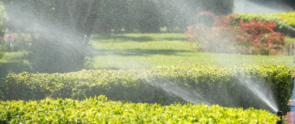 Sprinkler irrigation system watering plants in Mountain Brook, AL.