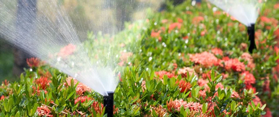 Irrigation system spraying water on pink plants in Mountain Brook, AL.