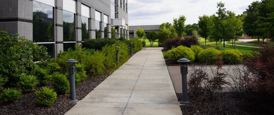 Walkway in New Market, AL, between lush, green plants on a landscape.