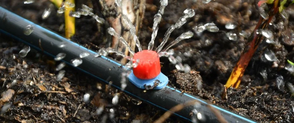 Water coming out of a drip irrigation emitter in Liberty Park, AL.