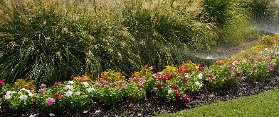 Landscape bed in Mountain Brook, AL, with white and pink flowers and lush shrubs.