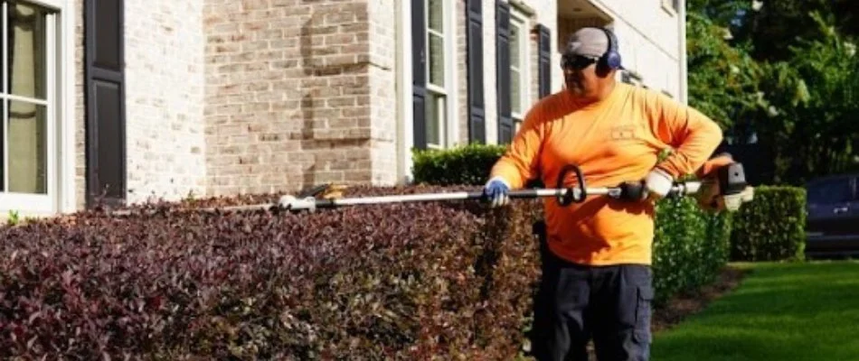 Worker trimming a hedge on a property in Homewood, AL.