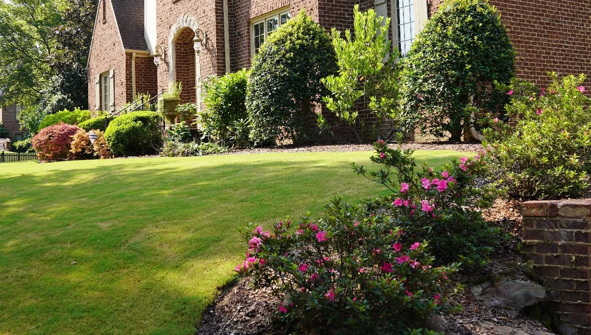 Flowers and plants along grass in front of house.