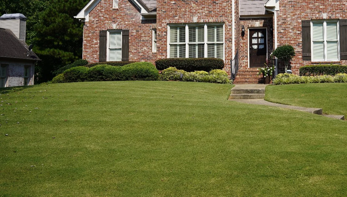 Short green lawn in front yard with plants at Mountain Brook, AL.