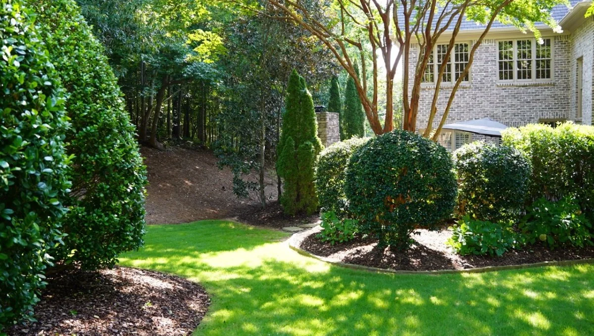 Trimmed shrubs in mulch beds and green grass.