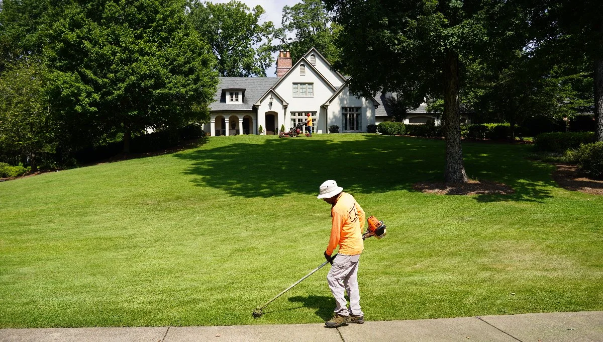 Worker trimming grass along walkway in front lawn.